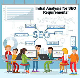 Initial Analysis for SEO Requirements