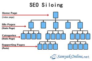 Website Siloing: A Must To Do Practice To Rank Better