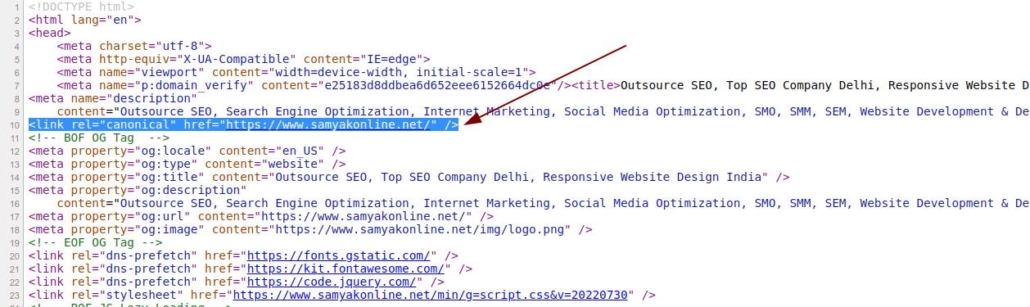 Use of Canonical Tags to Point Main URL of A Webpage