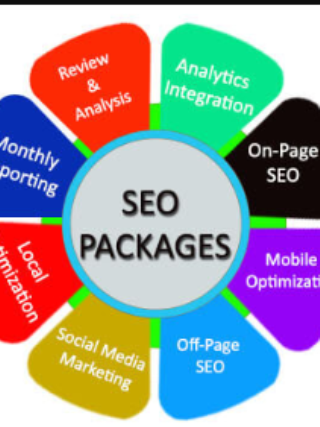 SEO Package Price in India
