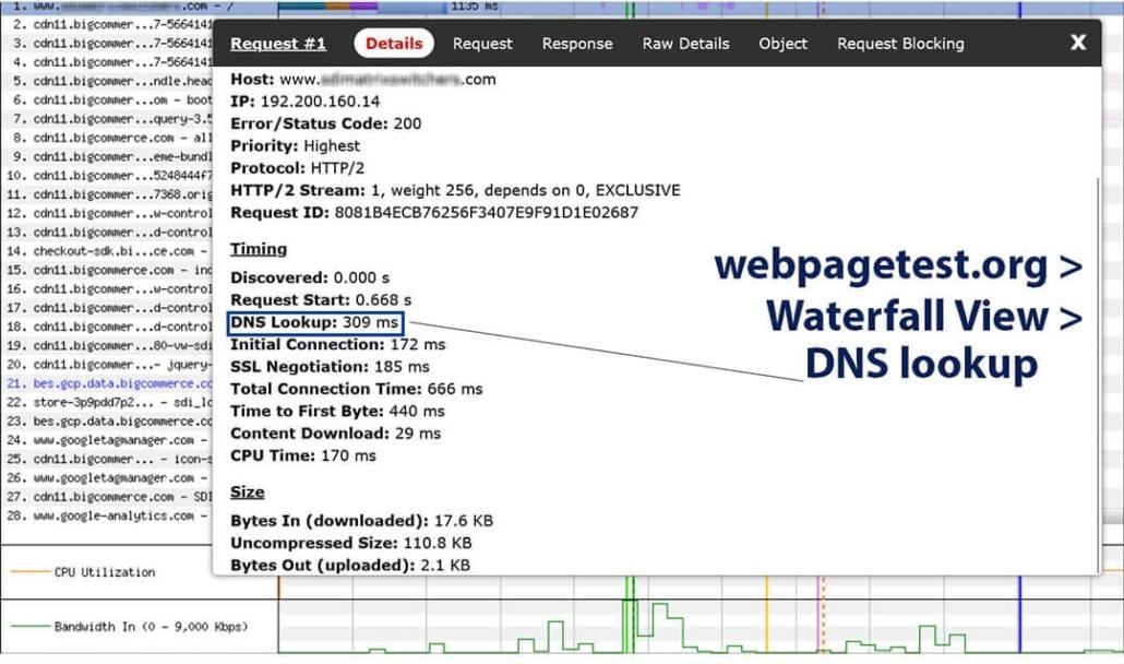 DNS lookup