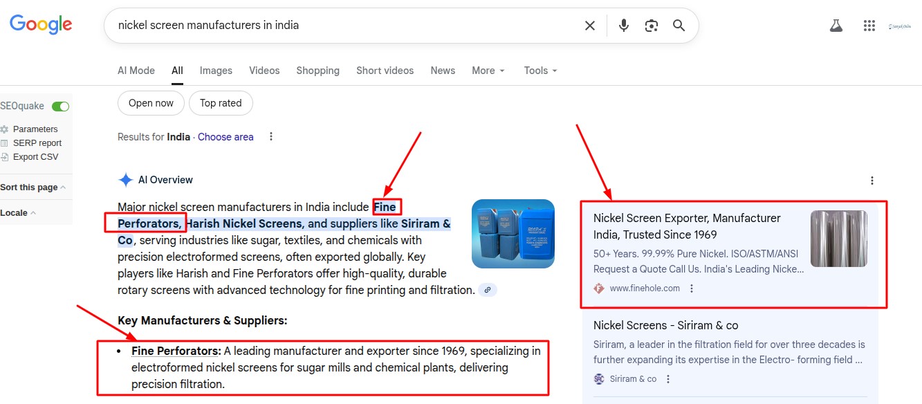 Google AI Overview Result