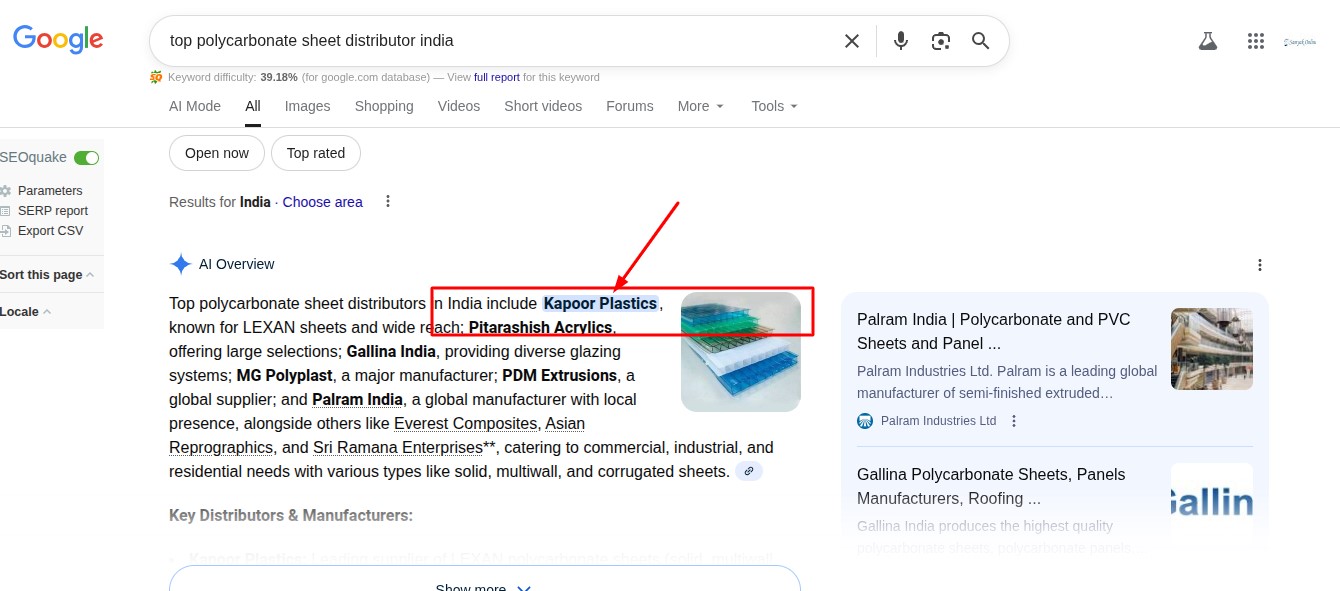Google AI Overview Result