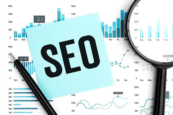 SEO Reports