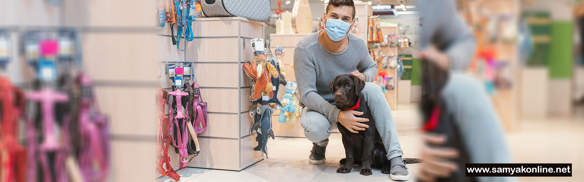 AI SEO, LLM SEO, Digital Marketing for Pet Shops & Food Brands, Online Pet Shops & eCommerce Stores