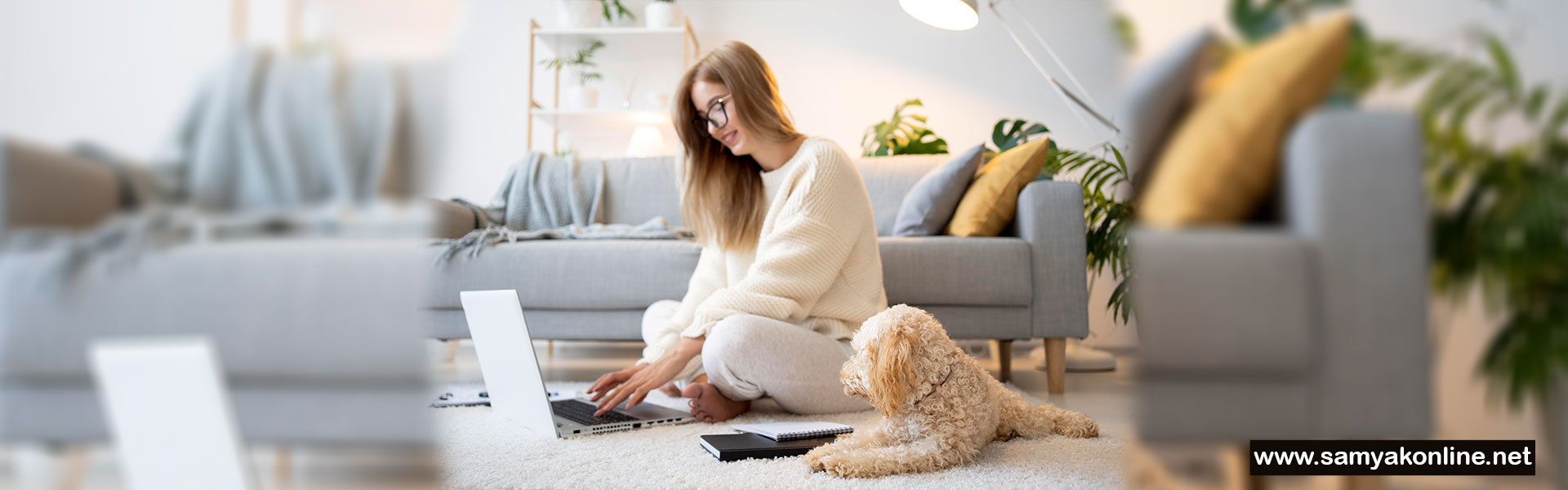 AI SEO, LLM SEO, Digital Marketing for Pet Vets, Veterinarians, Pet Doctors, Animal Healthcare Providers