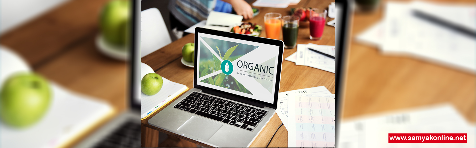 Digital Marketing & AI SEO for Organic Food Brands, Organic Food Companies, Organic Grocery Brands
